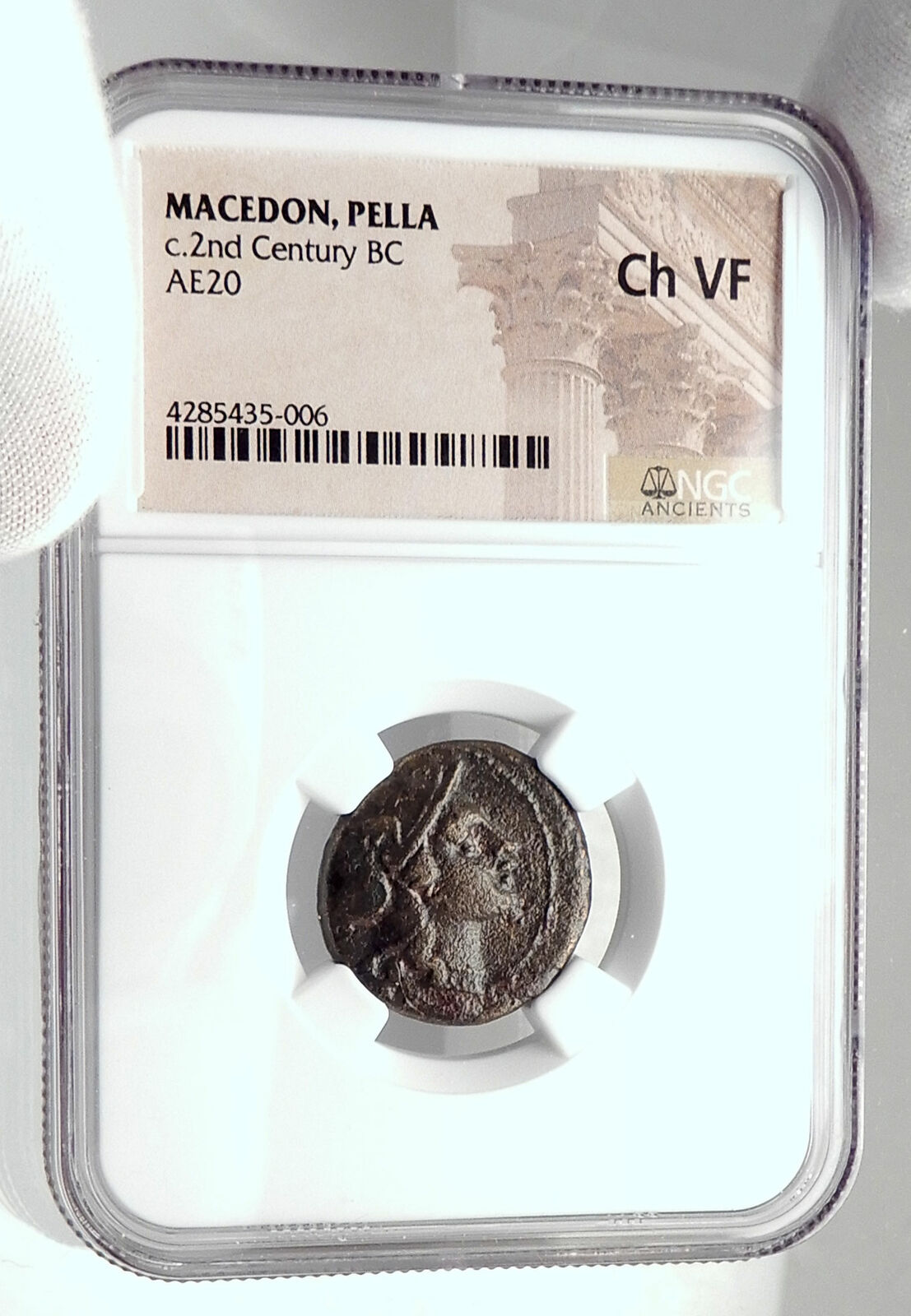 PELLA in Macedonia 148BC RARE R1 Authentic Ancient Greek Coin ROMA NGC i80385