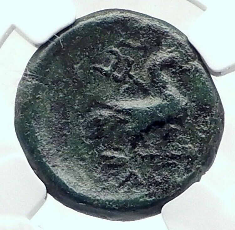 AMORION in PHRYGIA Rare Authentic Ancient 200BC Greek Coin ZEUS EAGLE NGC i81148