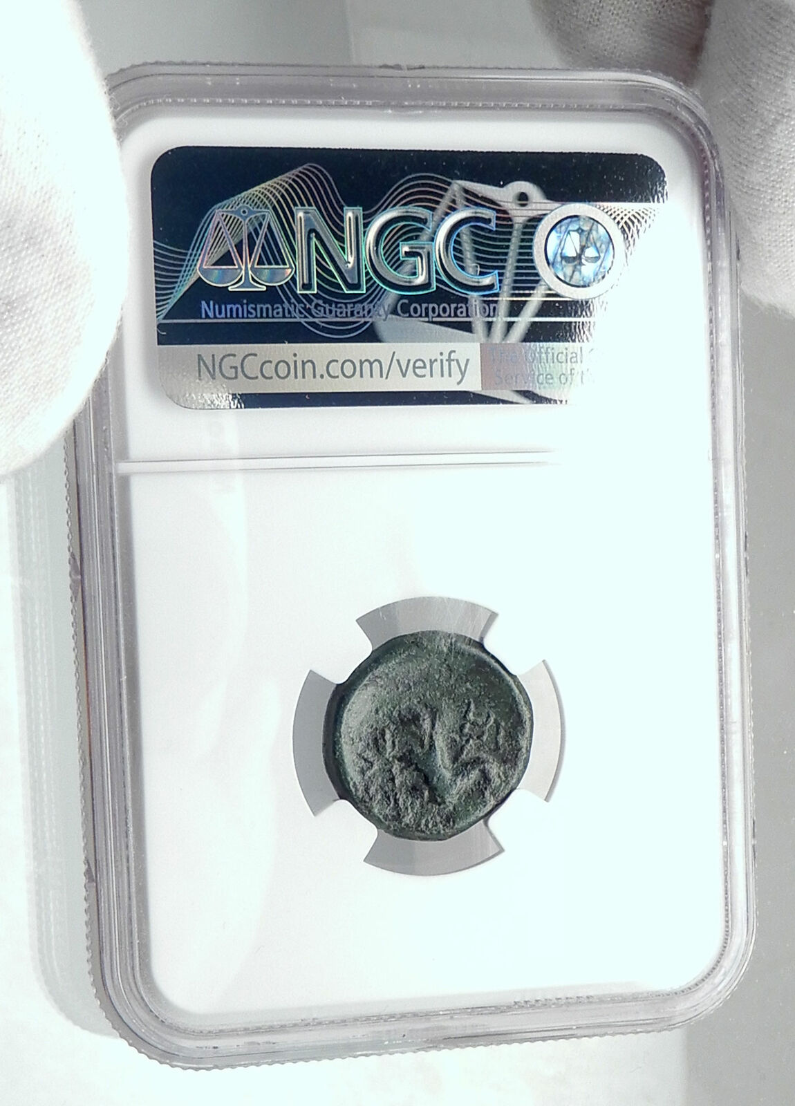 AMORION in PHRYGIA Rare Authentic Ancient 200BC Greek Coin ZEUS EAGLE NGC i81148