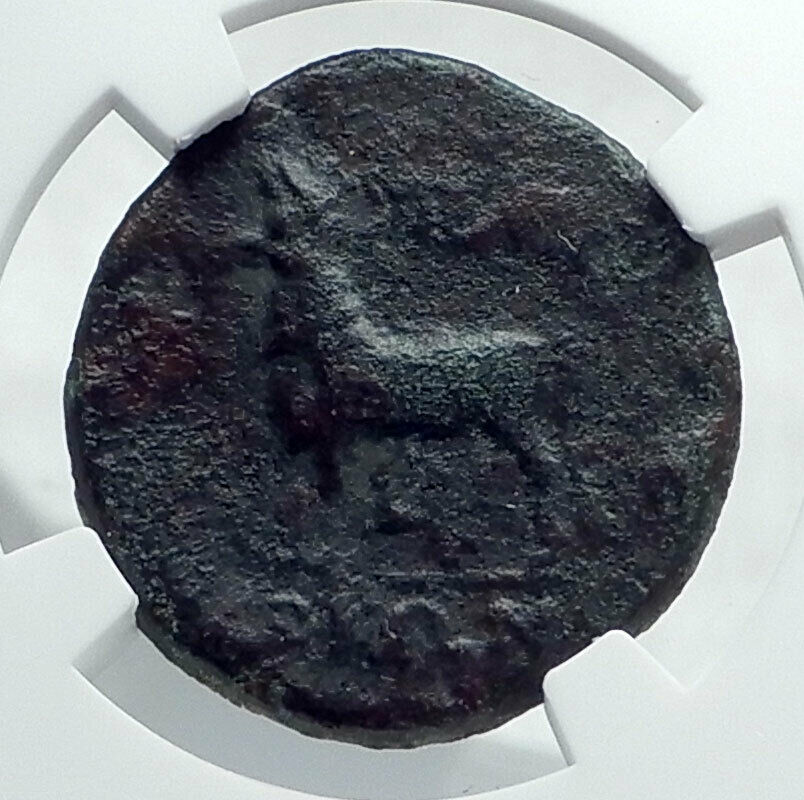 PERINTHOS in THRACE Authentic Ancient 217BC Greek Coin SERAPIS ISIS NGC i81322