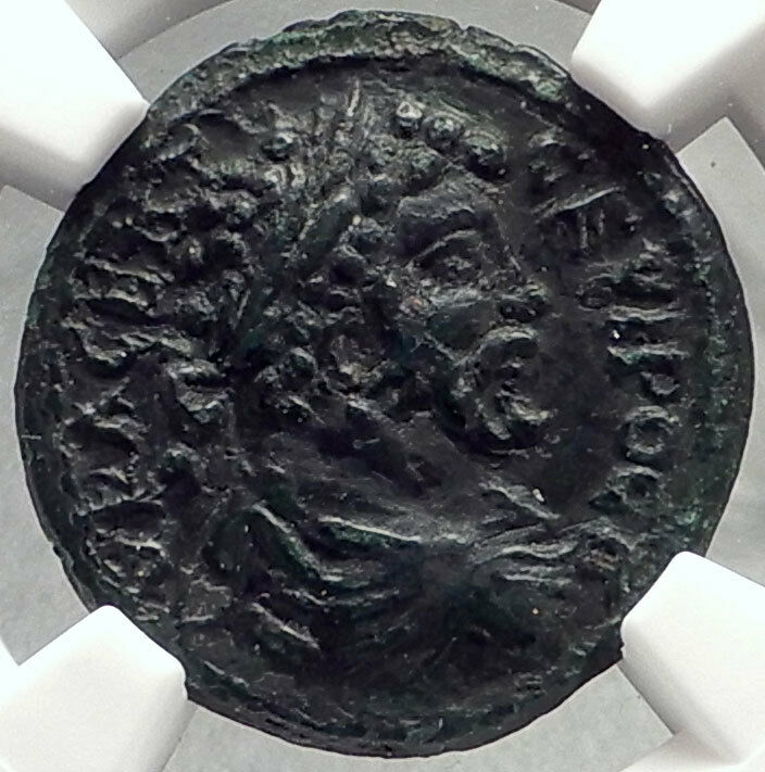 SEPTIMIUS SEVERUS Ancient Marcianopolis Roman Coin HERCULES LEO LION NGC i68766