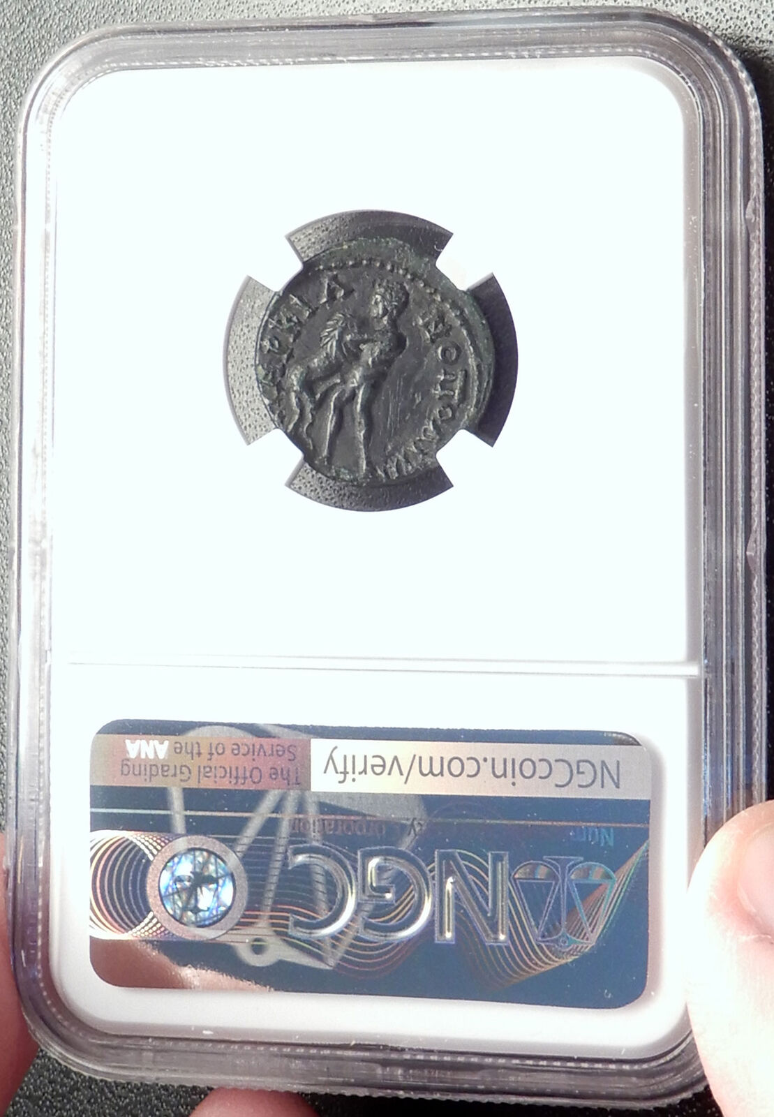 SEPTIMIUS SEVERUS Ancient Marcianopolis Roman Coin HERCULES LEO LION NGC i68766