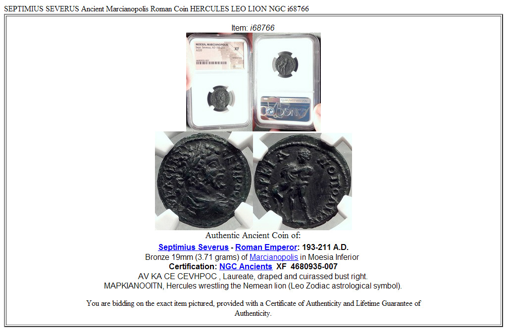 SEPTIMIUS SEVERUS Ancient Marcianopolis Roman Coin HERCULES LEO LION NGC i68766