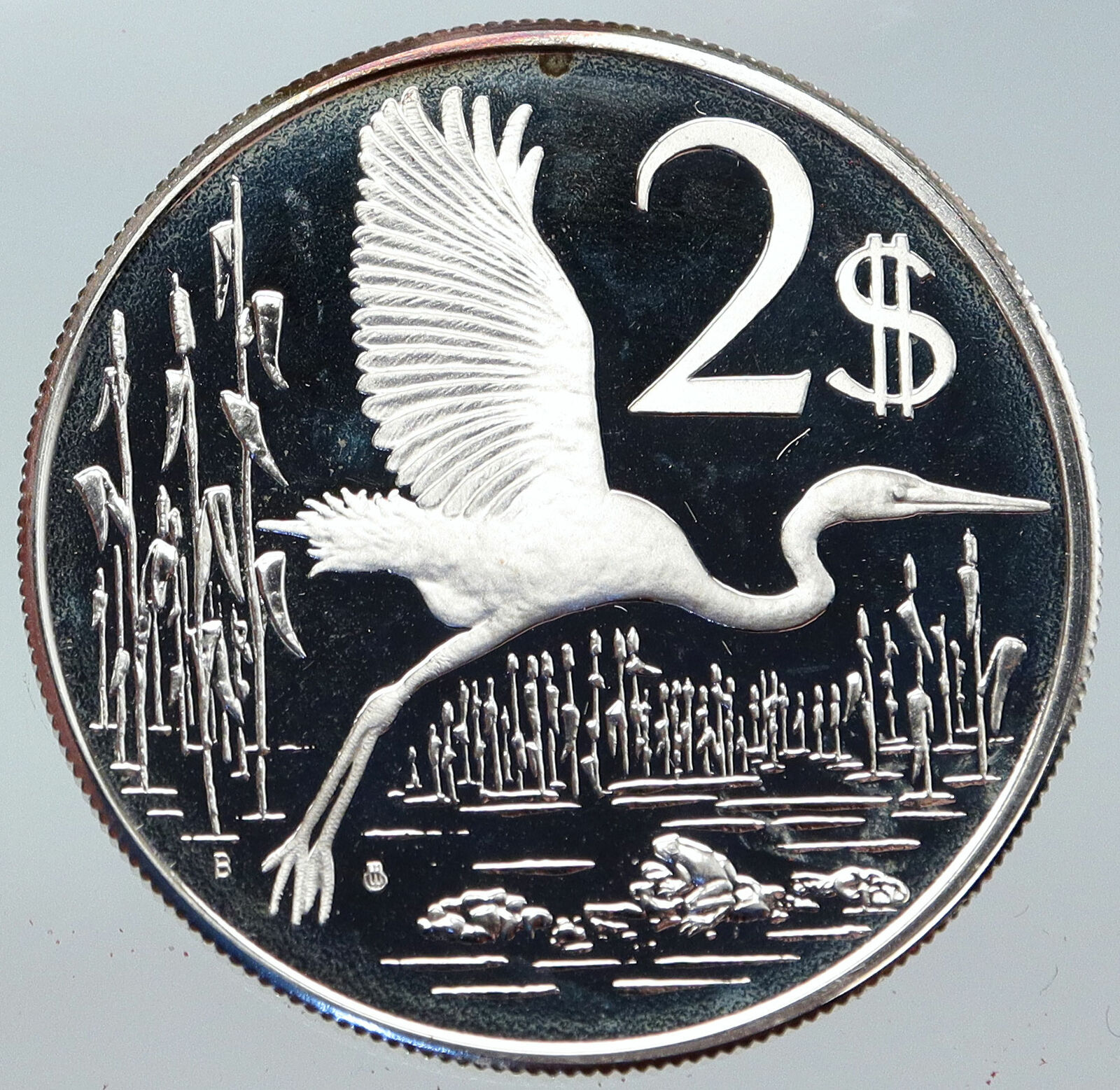 1975 CAYMAN ISLANDS 4.0cm OLD GREAT BLUE HERON BIRD Proof Silver $2 Coin i86237