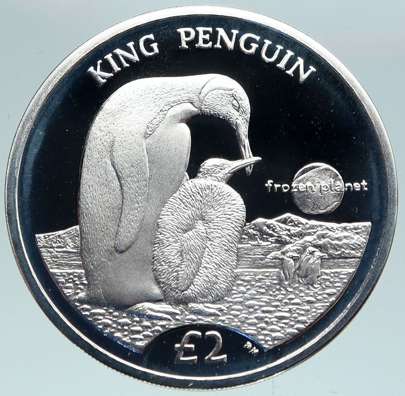 2012 S GEORGIA SANDWICH ISLANDS Queen Elizabeth II Penguin SILVER 2P Coin i87508