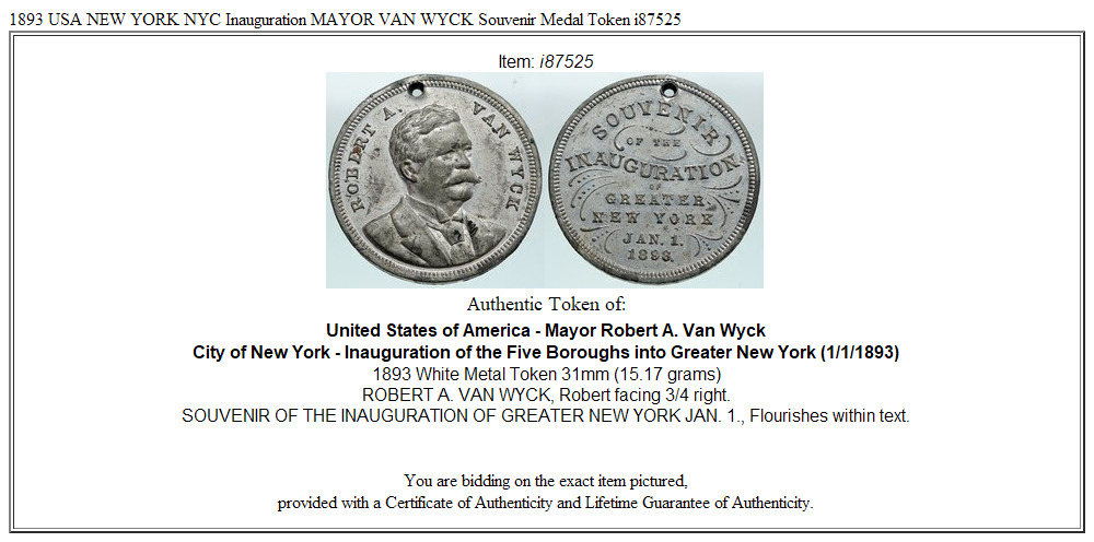 1893 USA NEW YORK NYC Inauguration MAYOR VAN WYCK Souvenir Medal Token i87525