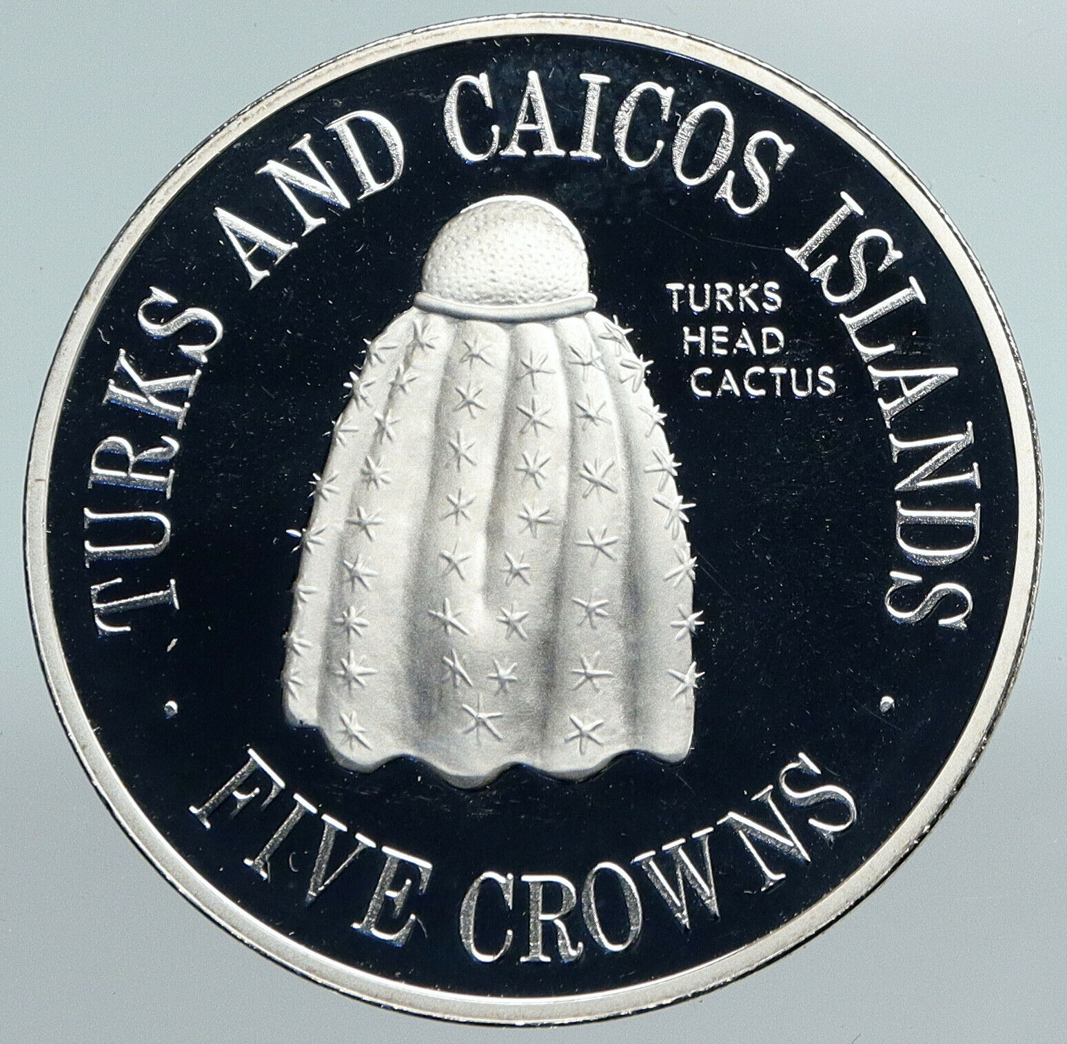 1977 TURKS AND CAICOS Head Cactus Vintage OLD Proof Silver 5 Crown Coin i89916