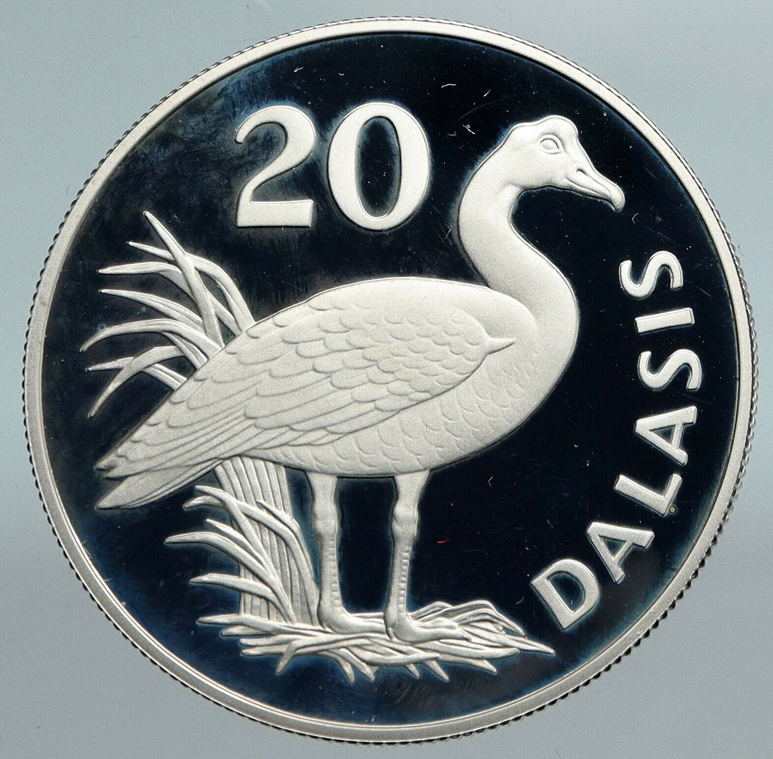 1977 GAMBIA Goose Bird WILDLIFE CONSERVATION Proof Silver 20 Dalasis Coin i89902