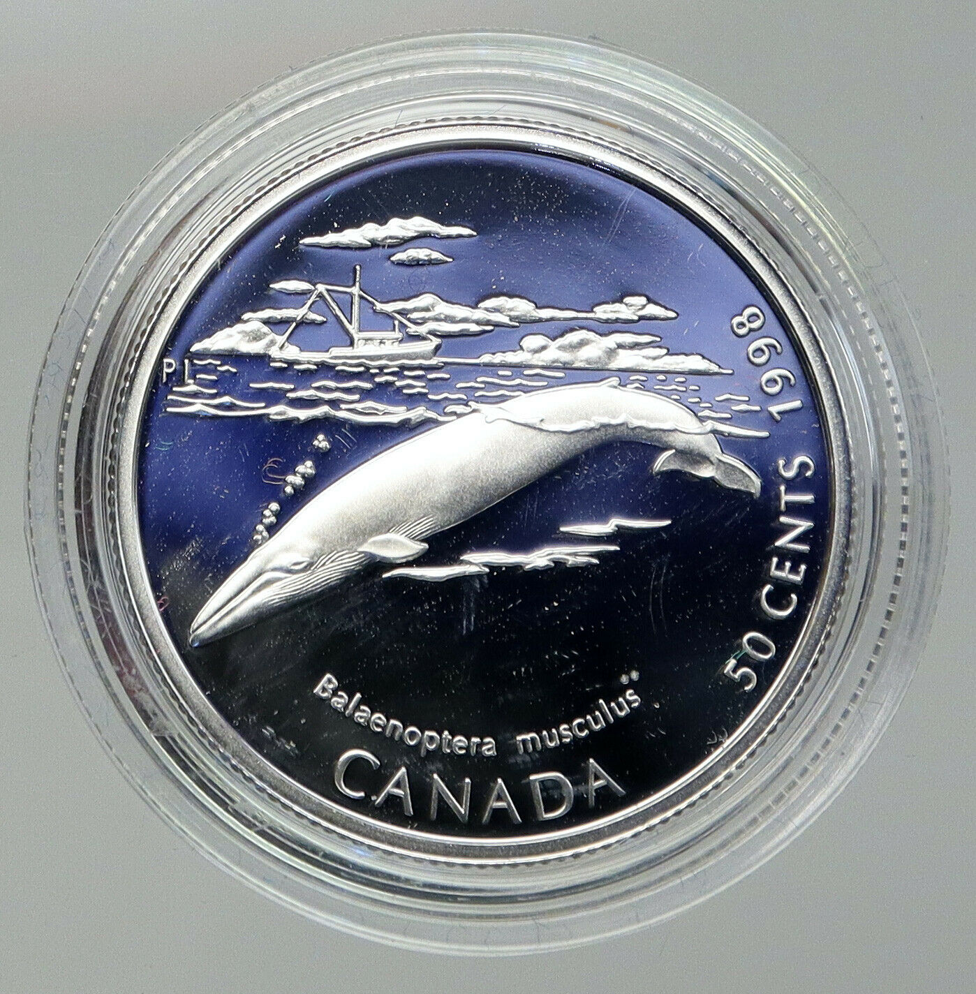 1996 CANADA UK Queen Elizabeth II Wildlife Blue Whale PRF Silver 50c Coin i92805