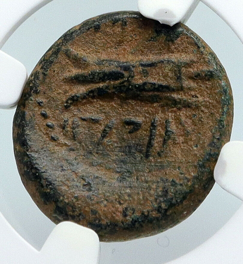 ARADOS in PHOENICIA Authentic Ancient 206BC Greek Coin ZEUS & GALLEY NGC i89560