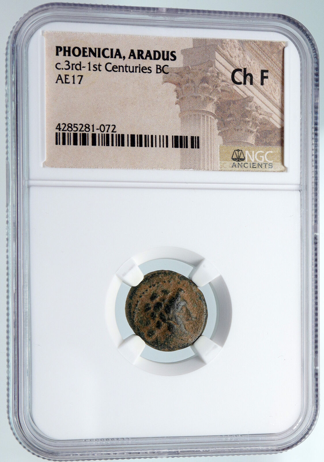 ARADOS in PHOENICIA Authentic Ancient 206BC Greek Coin ZEUS & GALLEY NGC i89560