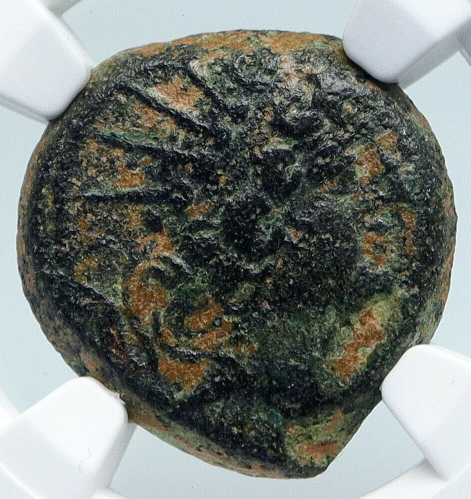 ANTIOCHOS VIII Grypos 121BC Seleukid Greek Old ARTEMIS & APOLLO Coin NGC i89552