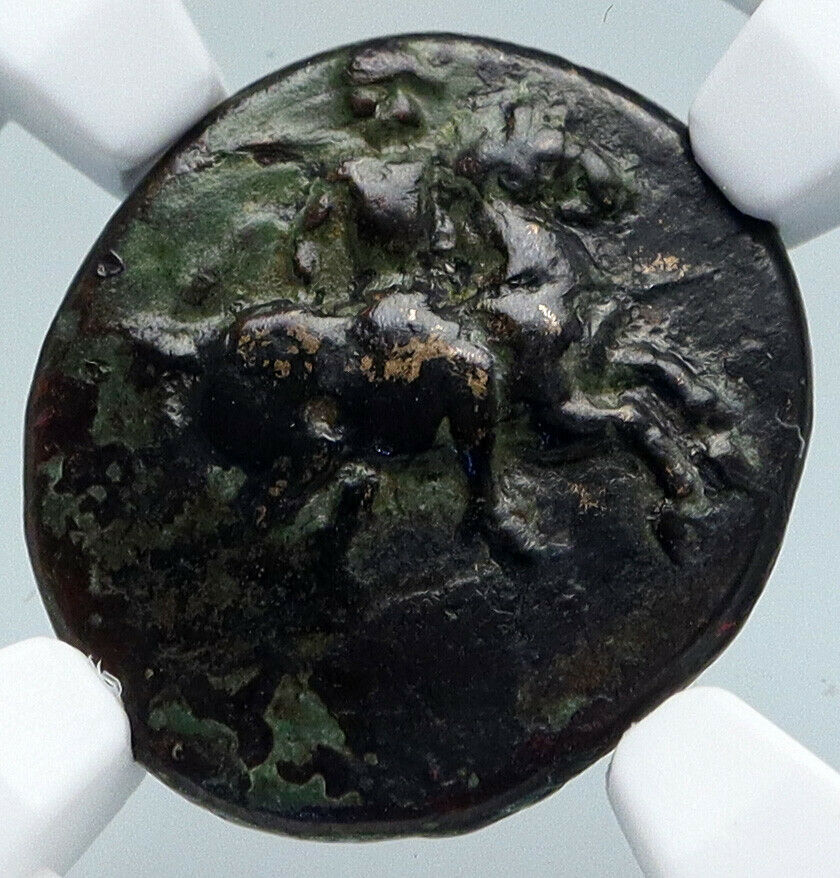 MAGNESIA ad MAEANDRUM, IONIA 300BC Authentic Ancient Greek Coin BULL NGC i89555