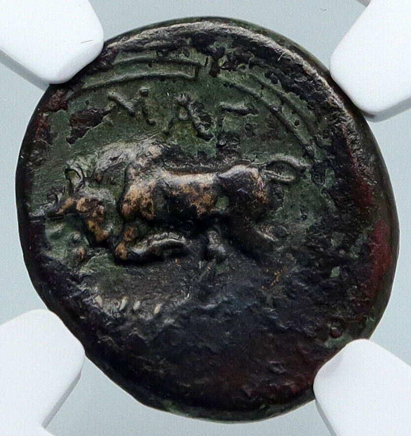 MAGNESIA ad MAEANDRUM, IONIA 300BC Authentic Ancient Greek Coin BULL NGC i89555