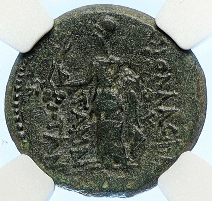 AUGUSTUS Proconsul Asinius Gallus ATHENA Antique Ancient Roman Coin NGC i106615