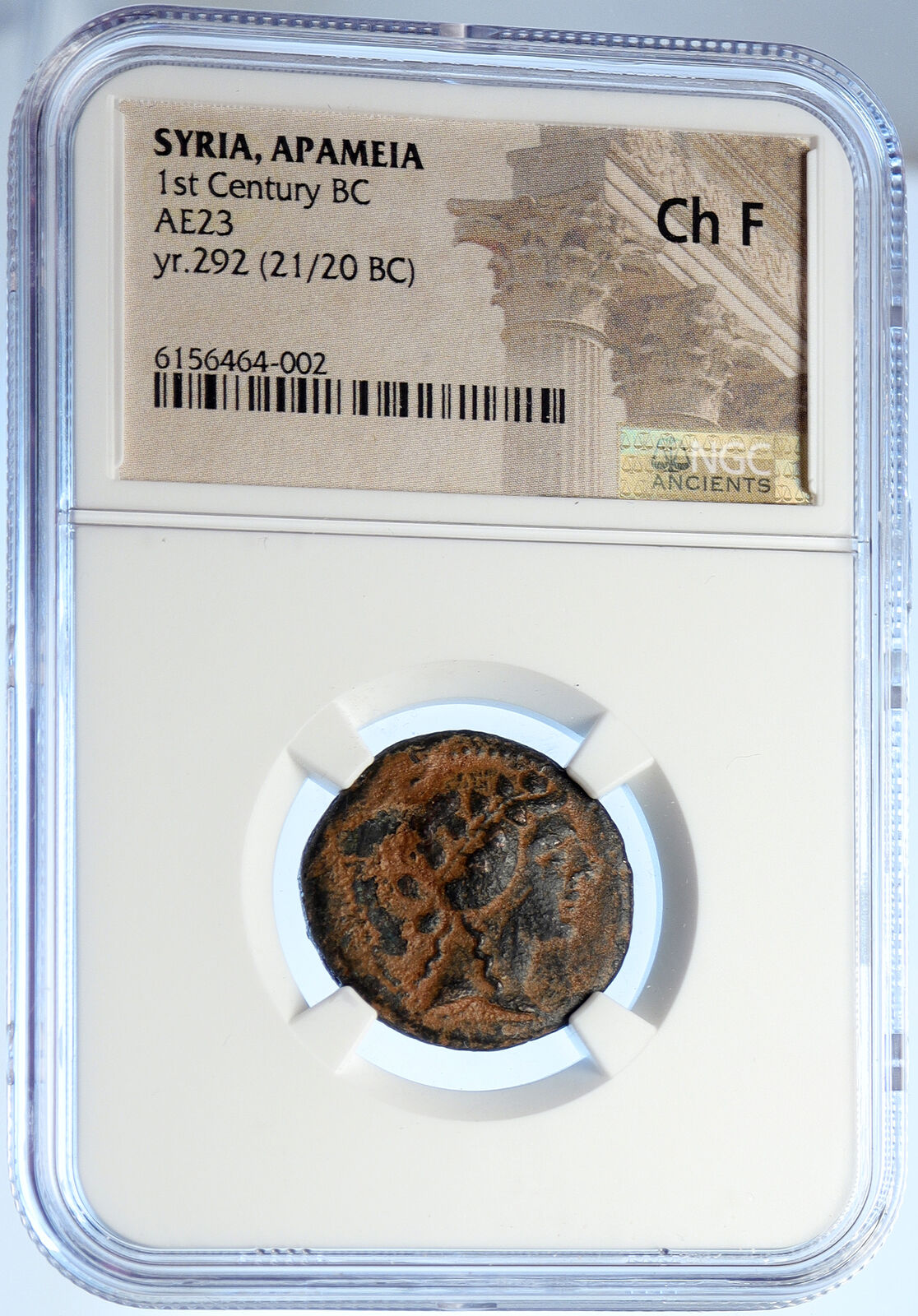 APAMEIA in Seleukis & Pieria Ancient OLD ANTIQUE Greek Coin DIONYSUS NGC i106667