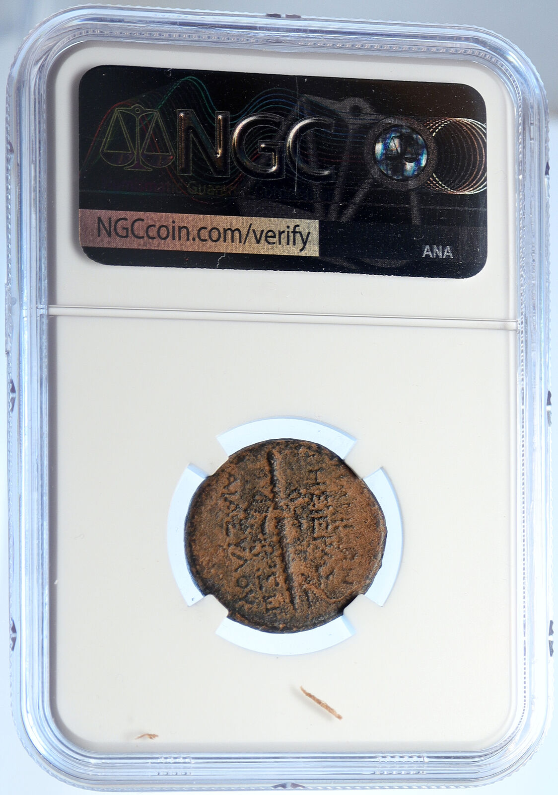 APAMEIA in Seleukis & Pieria Ancient OLD ANTIQUE Greek Coin DIONYSUS NGC i106667