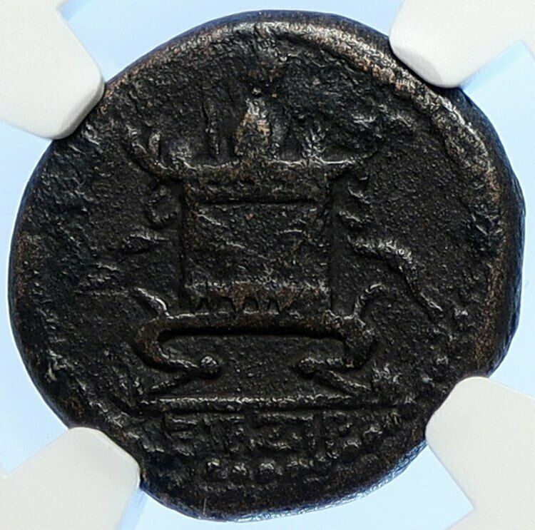 ANTIOCH on the Orontes in Seleukis Authentic Ancient Greek Coin ZEUS NGC i106687