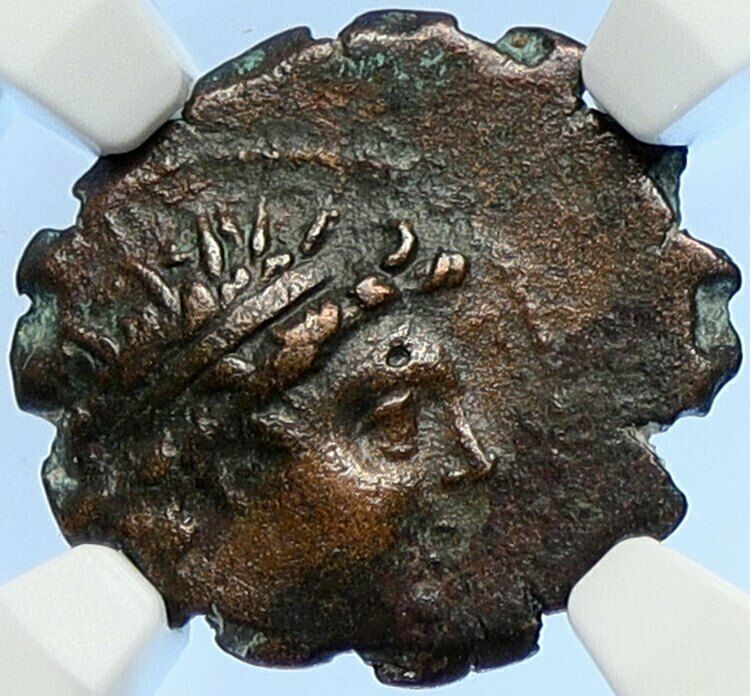 ANTIOCHUS VI Dionysos Seleucid King 145BC Ancient NGC Greek Coin Panther i106686