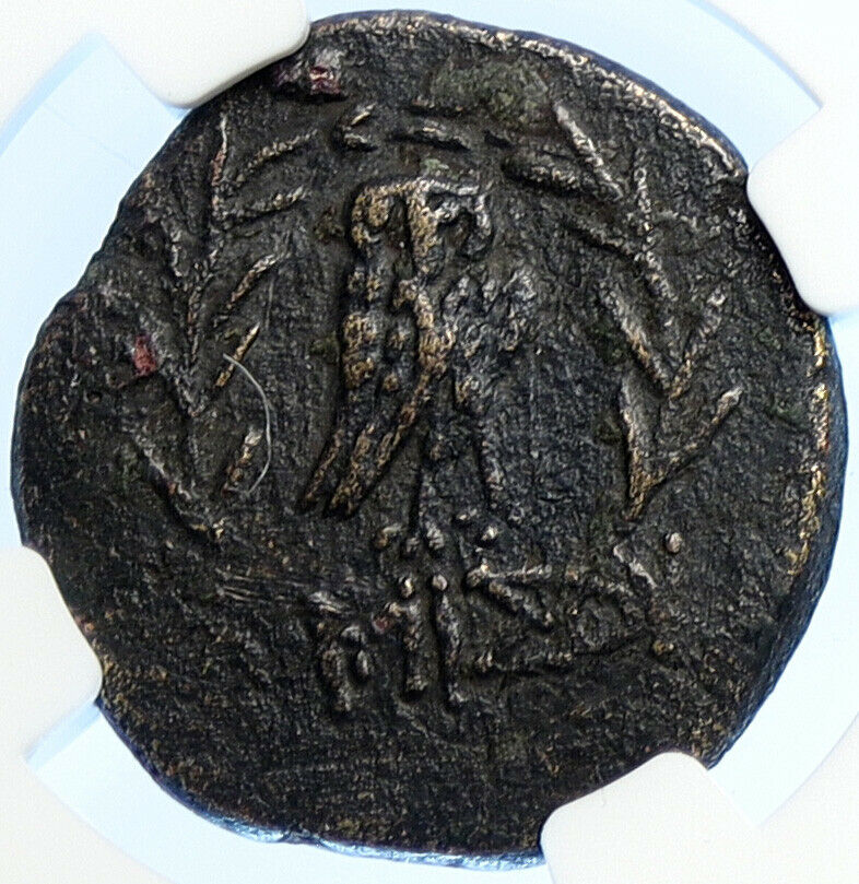 AMISOS - PONTUS Mithradates VI the Great GORGON NIKE Old Greek Coin NGC i106688