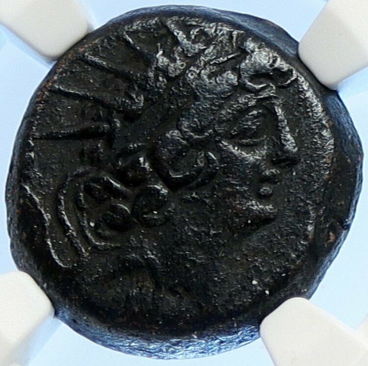 ANTIOCHOS VIII Grypos Seleukid Greek Ancient ARTEMIS & APOLLO Coin NGC i106699