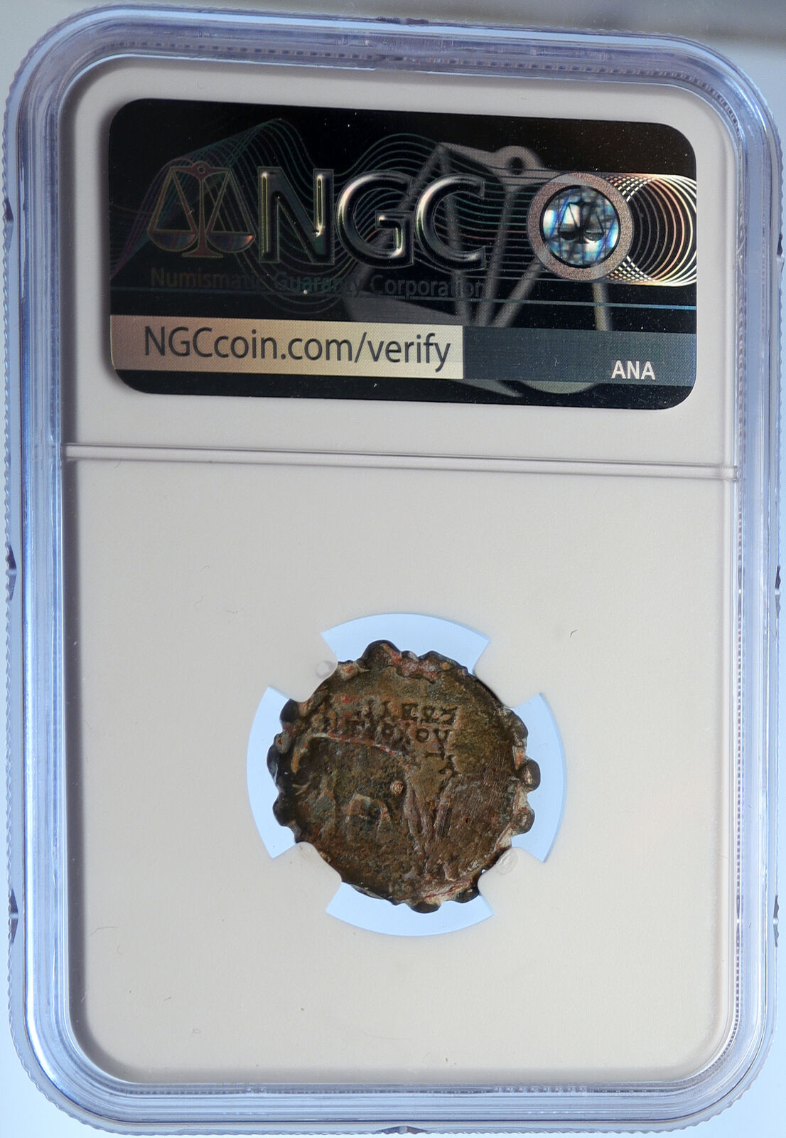 ANTIOCHOS VI Dionysos 144BC Seleukid Ancient Greek Coin ELEPHANT NGC i106691