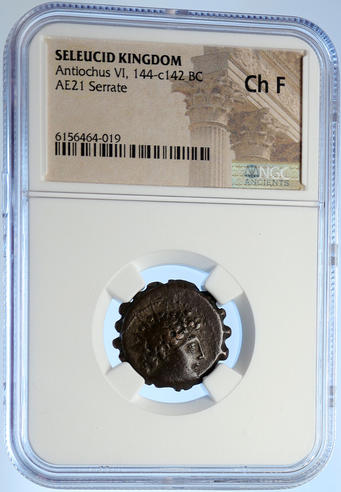 ANTIOCHOS VI Dionysos Ancient Seleukid Ancient Greek Coin ELEPHANT NGC i106684