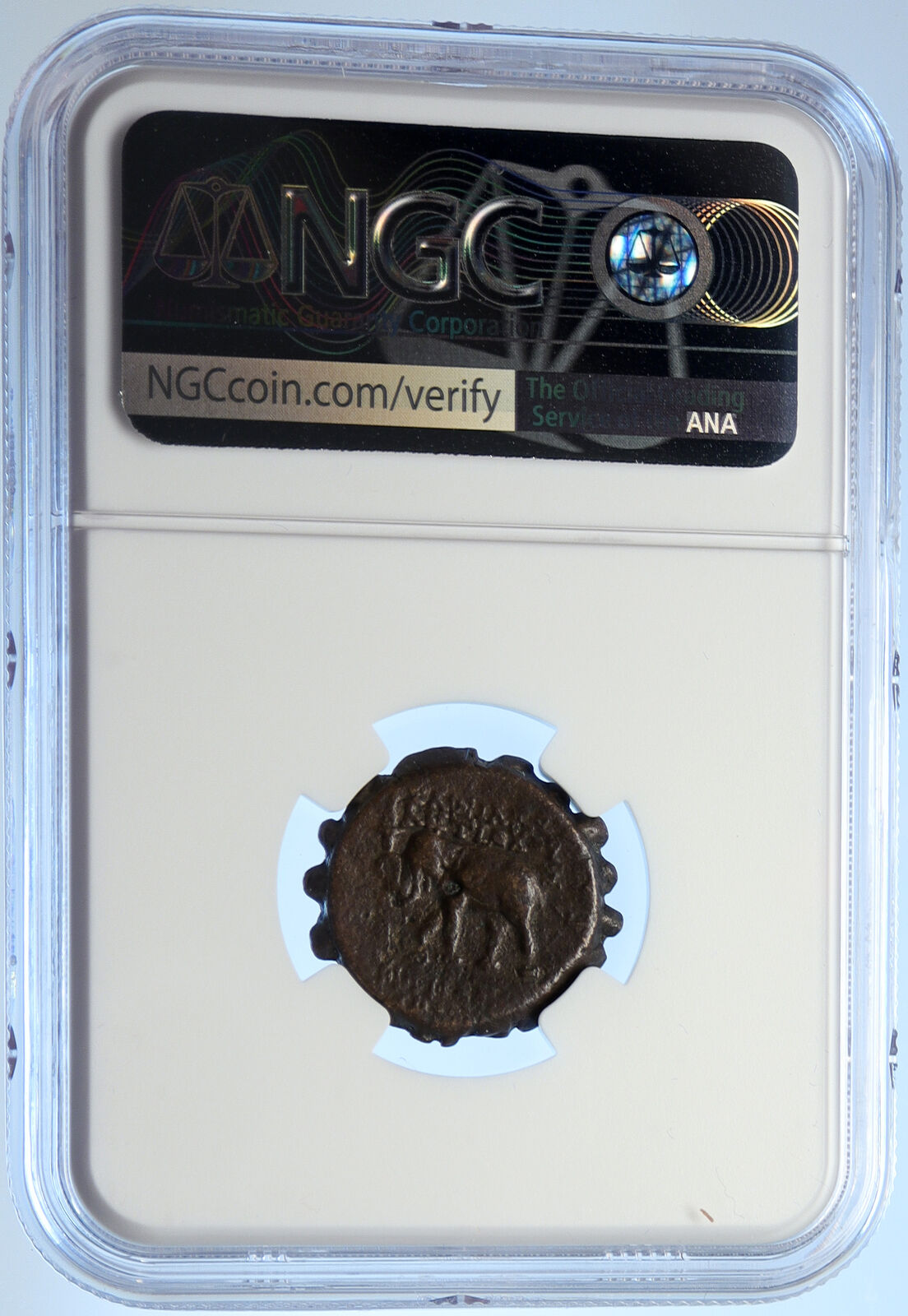 ANTIOCHOS VI Dionysos Ancient Seleukid Ancient Greek Coin ELEPHANT NGC i106684