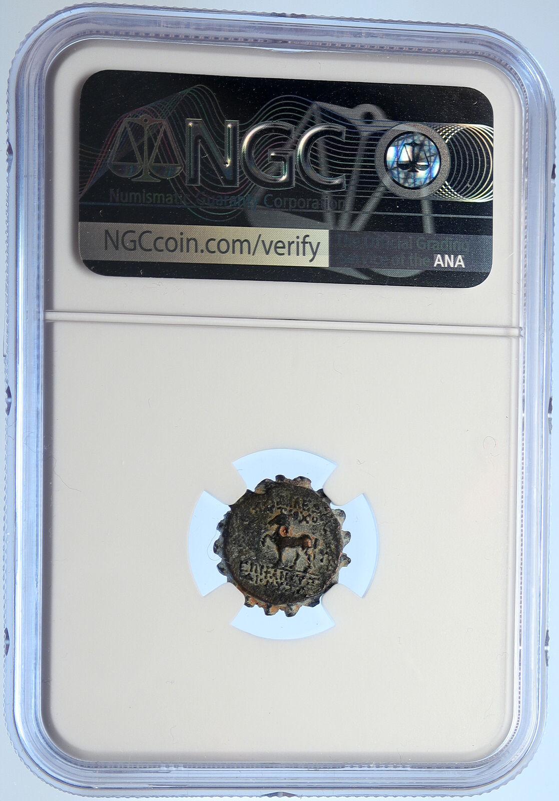 ANTIOCHOS VI Dionysos Ancient Seleukid ANTIQUE OLD Greek Coin HORSE NGC i106705