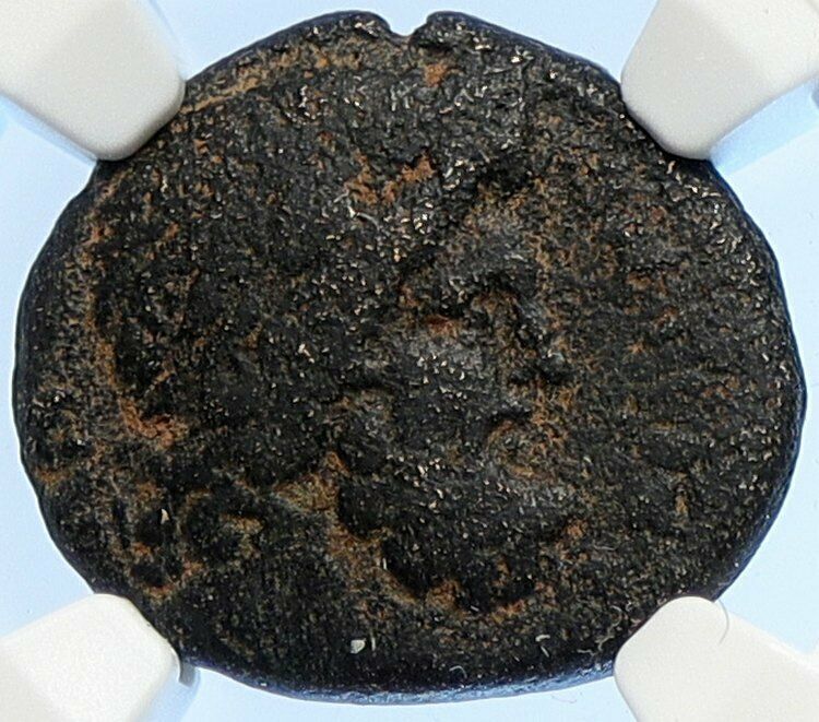 ANTIOCH in SELEUKIS and PIERIA Ancient Greek Coin Zeus & Boule RARE NGC i106707