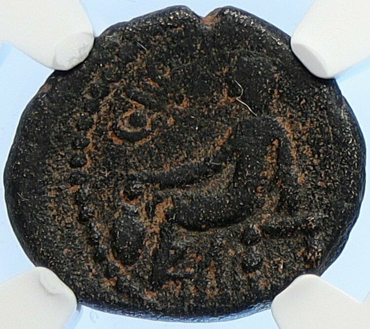 ANTIOCH in SELEUKIS and PIERIA Ancient Greek Coin Zeus & Boule RARE NGC i106707