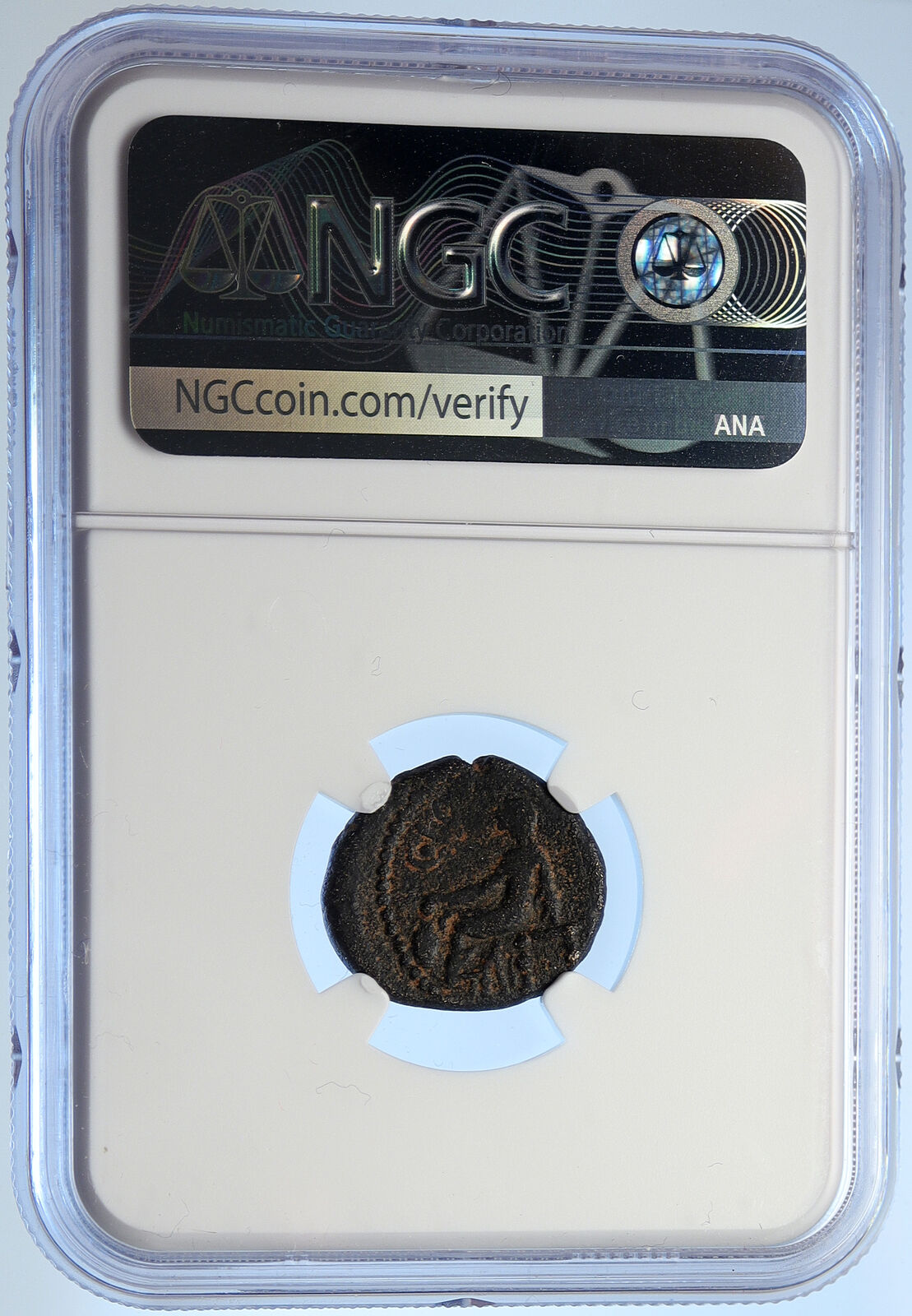 ANTIOCH in SELEUKIS and PIERIA Ancient Greek Coin Zeus & Boule RARE NGC i106707