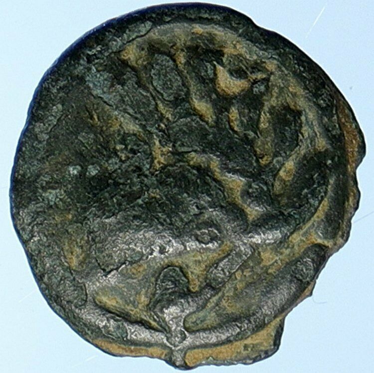 CELTIC European Tribe NORTHWEST GAUL Senones Old Greek-like Coin HORSE i110077