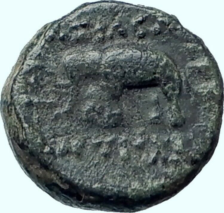 Antiochos III, (Molon) the Great 223BC RARE Ancient Greek Coin Elephant i40949