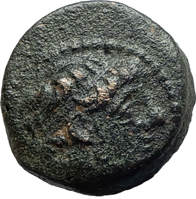 ANTIOCHOS IX Kyzikenos Authentic Ancient Seleukid Greek Coin Thunderbolt i75526