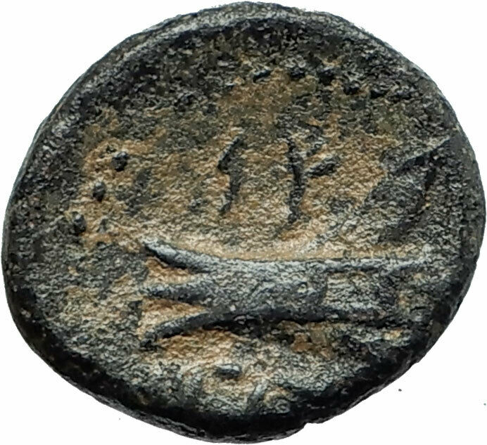 ARADOS in PHOENICIA Authentic Ancient 206BC Greek Coin w ZEUS & GALLEY i75653