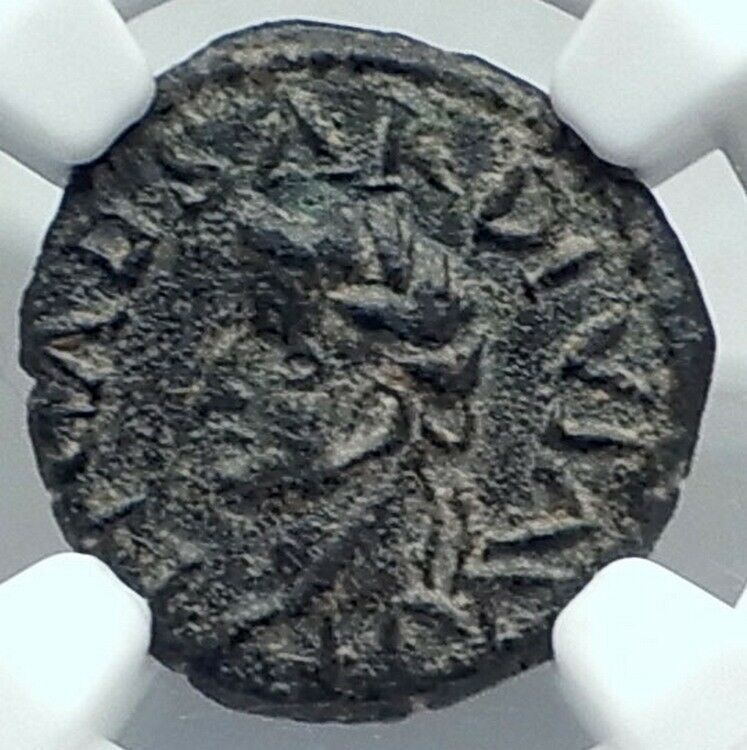 TIBERIUS & CALIGULA as Caesar 35AD Carthago Nova Spain Roman Coin NGC i77821