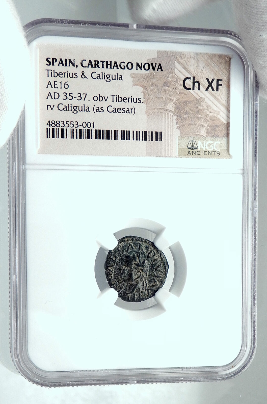 TIBERIUS & CALIGULA as Caesar 35AD Carthago Nova Spain Roman Coin NGC i77821