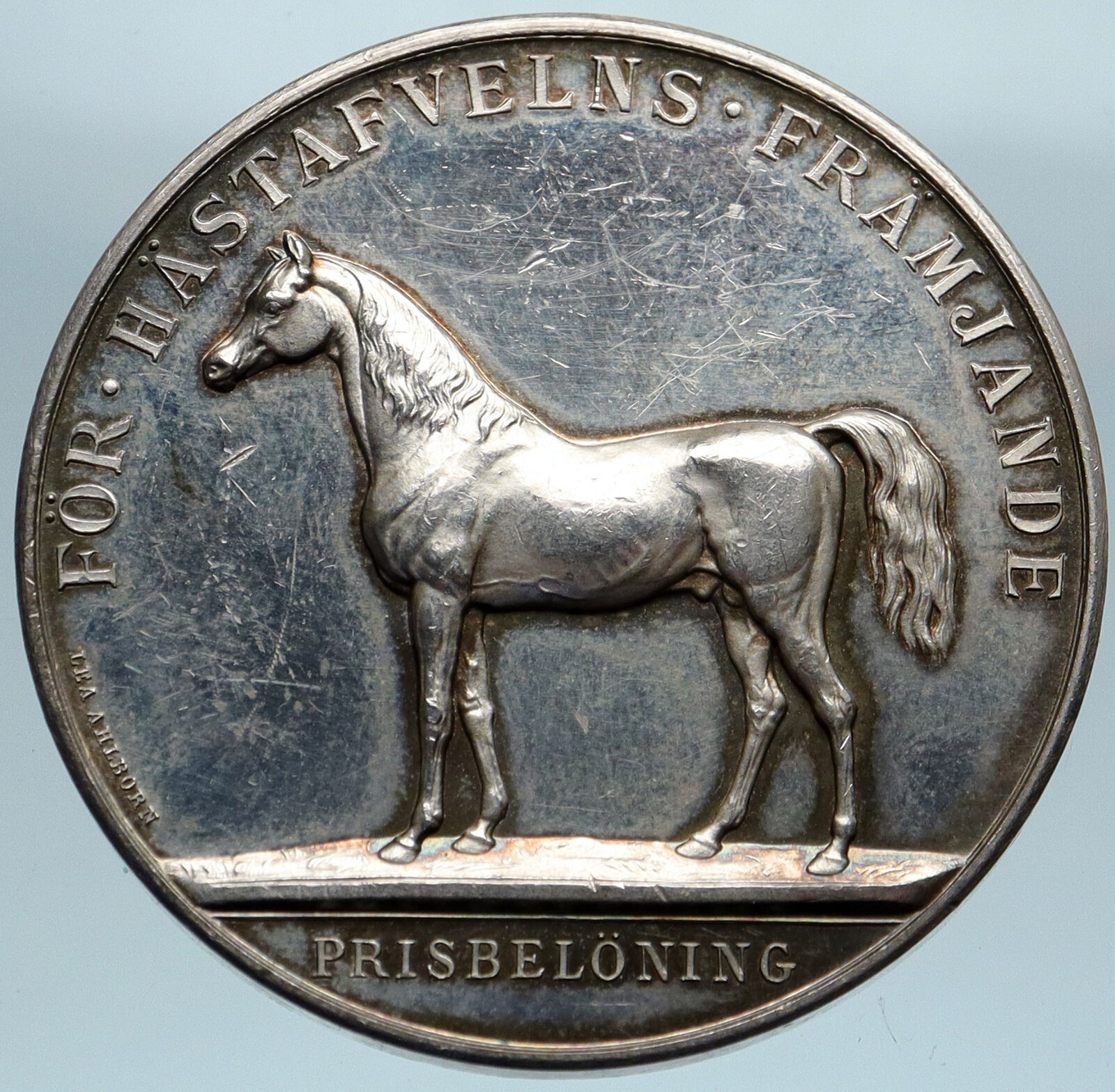 1939 Sweden KING GUSTAF V Best Horse Stallion OLD Genuine Silver Medal i82782