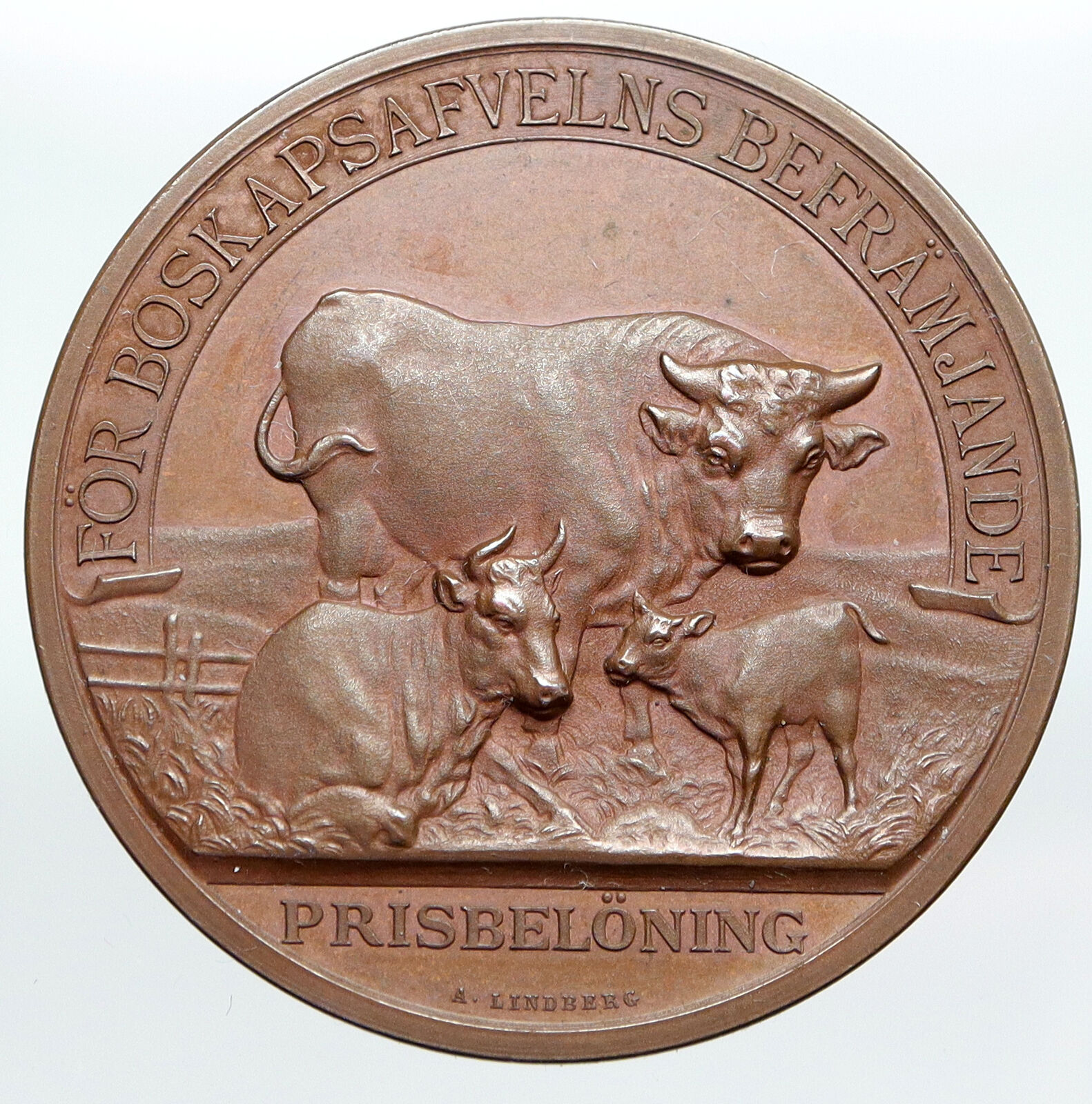 1929 SWEDEN Sodermanland County CATTLE BREEDING Old VINTAGE Award Medal i90601