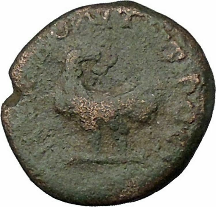 SEPTIMIUS SEVERUS Nicopolis ad Istrum Rare Ancient Roman Coin EAGLE i47931