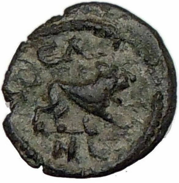 GORDIAN III Authentic Ancient 238AD Roman Coin LEO Zodiac Nemean LION i15583