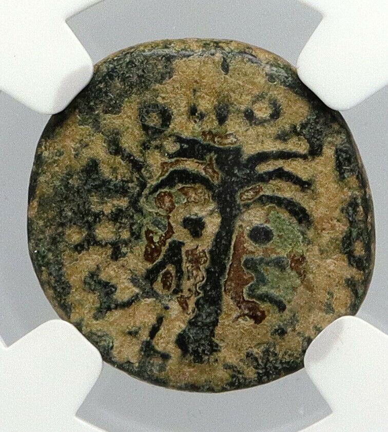 TYRE in PHOENICIA Roman Emperor Hadrian Time 104AD Ancient Greek Coin NGC i90641