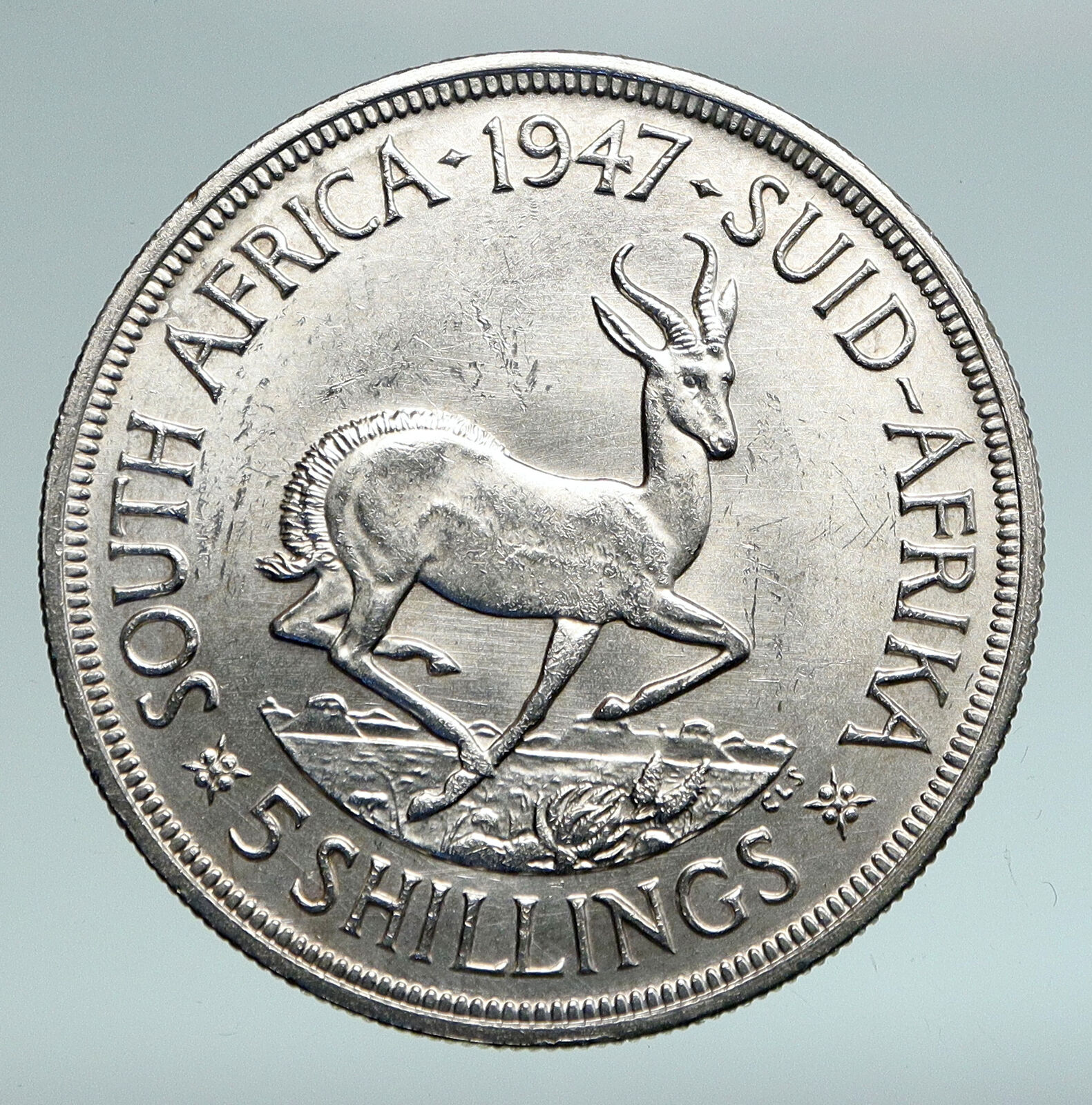 1947 SOUTH AFRICA George VI SPRINGBOK Deer Silver 5 Shillings LARGE Coin i90968