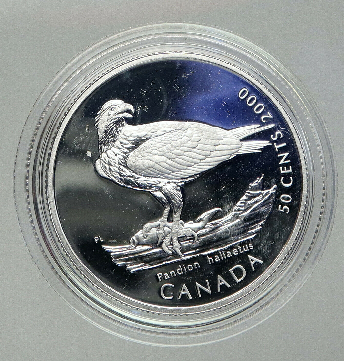 2000 CANADA Queen Elizabeth II Wildlife OSPREY BIRD Proof Silver 50c Coin i92813