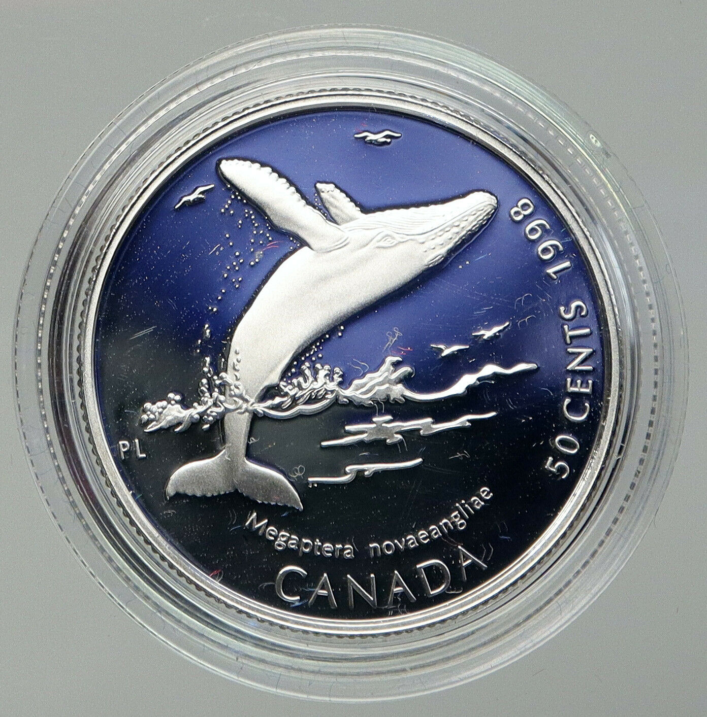 1998 CANADA UK Elizabeth II Wildlife Humpback Whale Proof Silver 50c Coin i92817