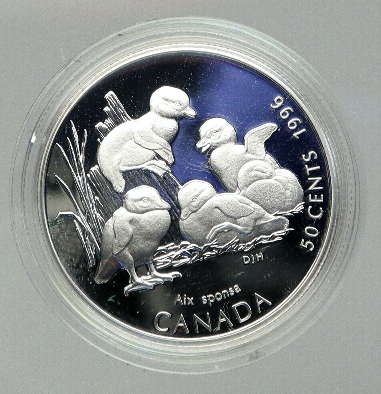 1996 CANADA Queen Elizabeth II Wildlife Ducklings Proof Silver 50c Coin i92809