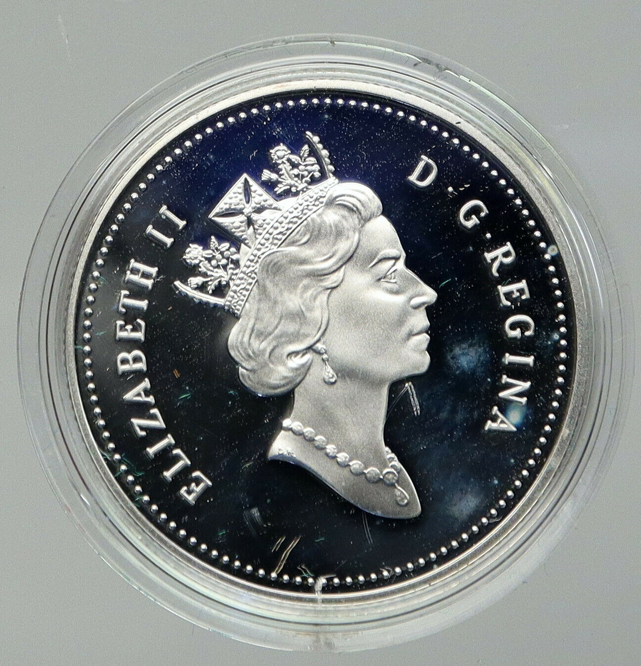 1996 CANADA Queen Elizabeth II Wildlife Ducklings Proof Silver 50c Coin i92809