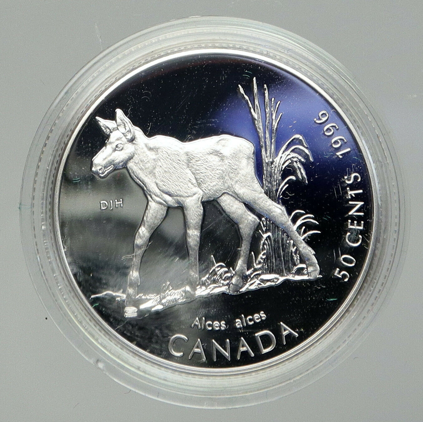 1996 CANADA Queen Elizabeth II Wildlife MOOSE CALF Proof Silver 50c Coin i92819