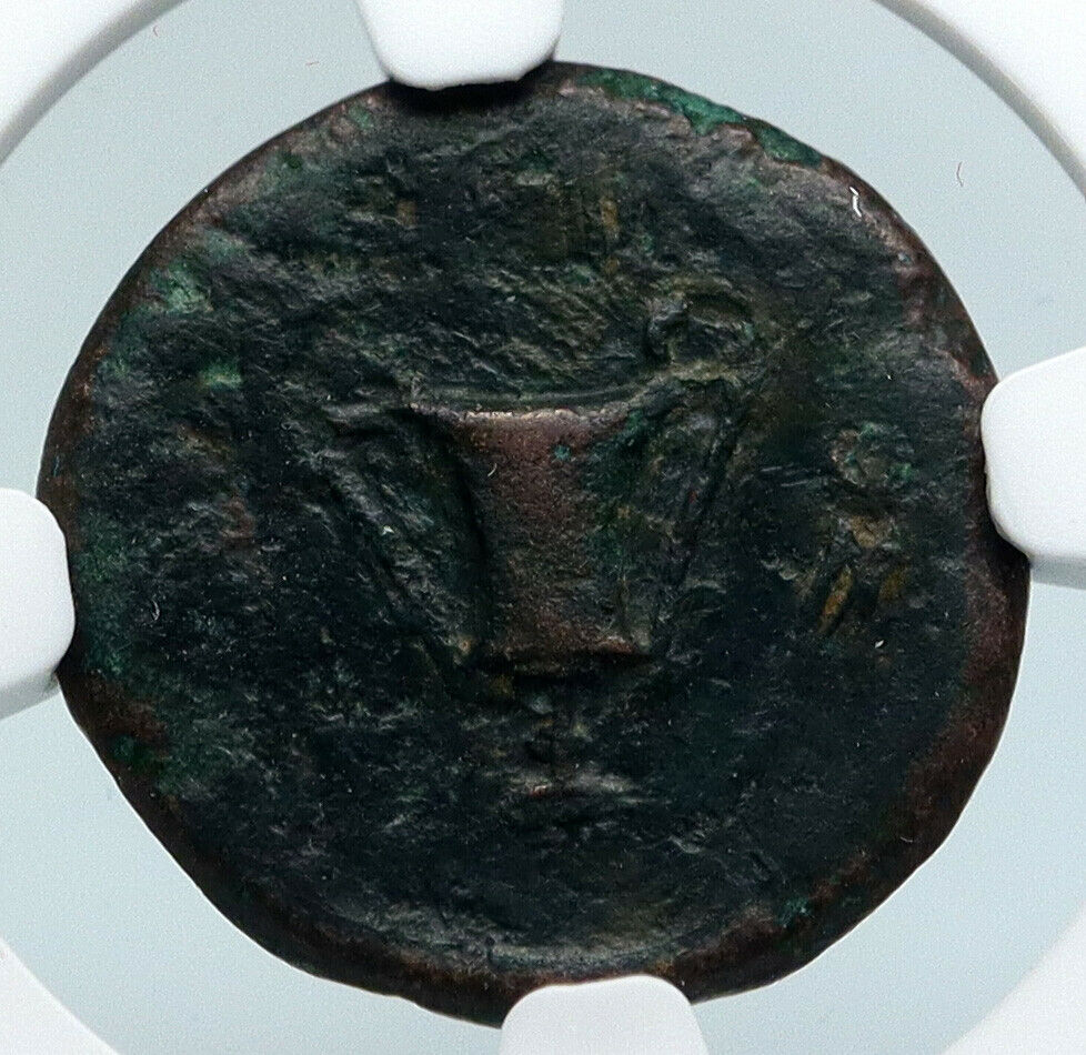 King KETRIPORIS of Thrace 356BC Authentic Ancient Greek Coin Dionysus NGC i89486